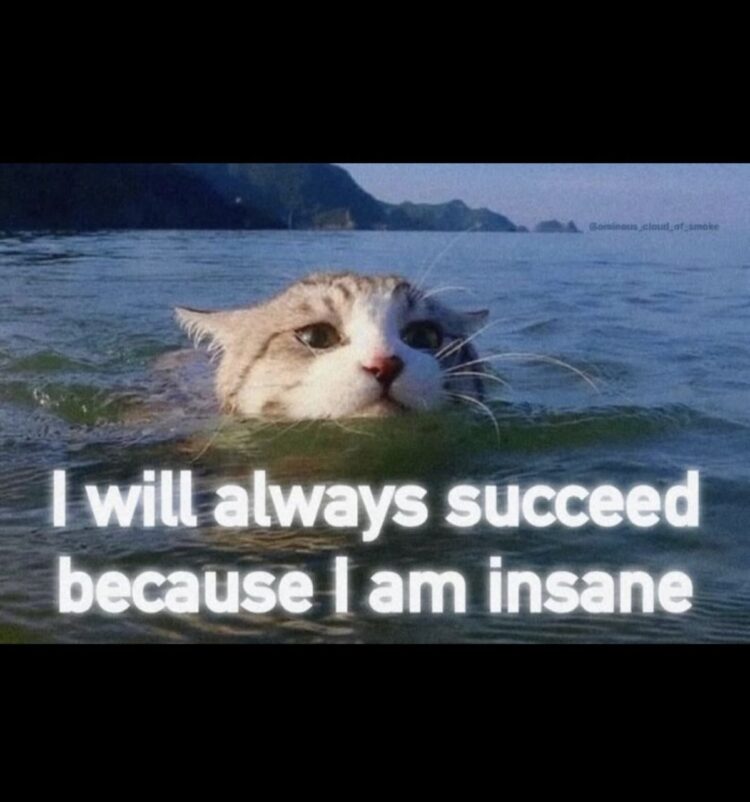 39a33ff5a6ba3922372fa26de1293e00