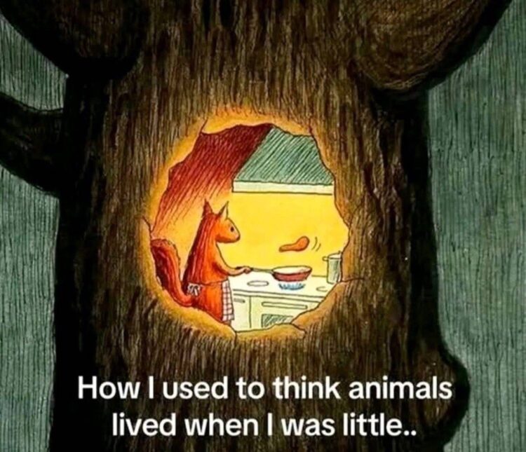 53ec53815b2f195eefc88213b2bda3c6