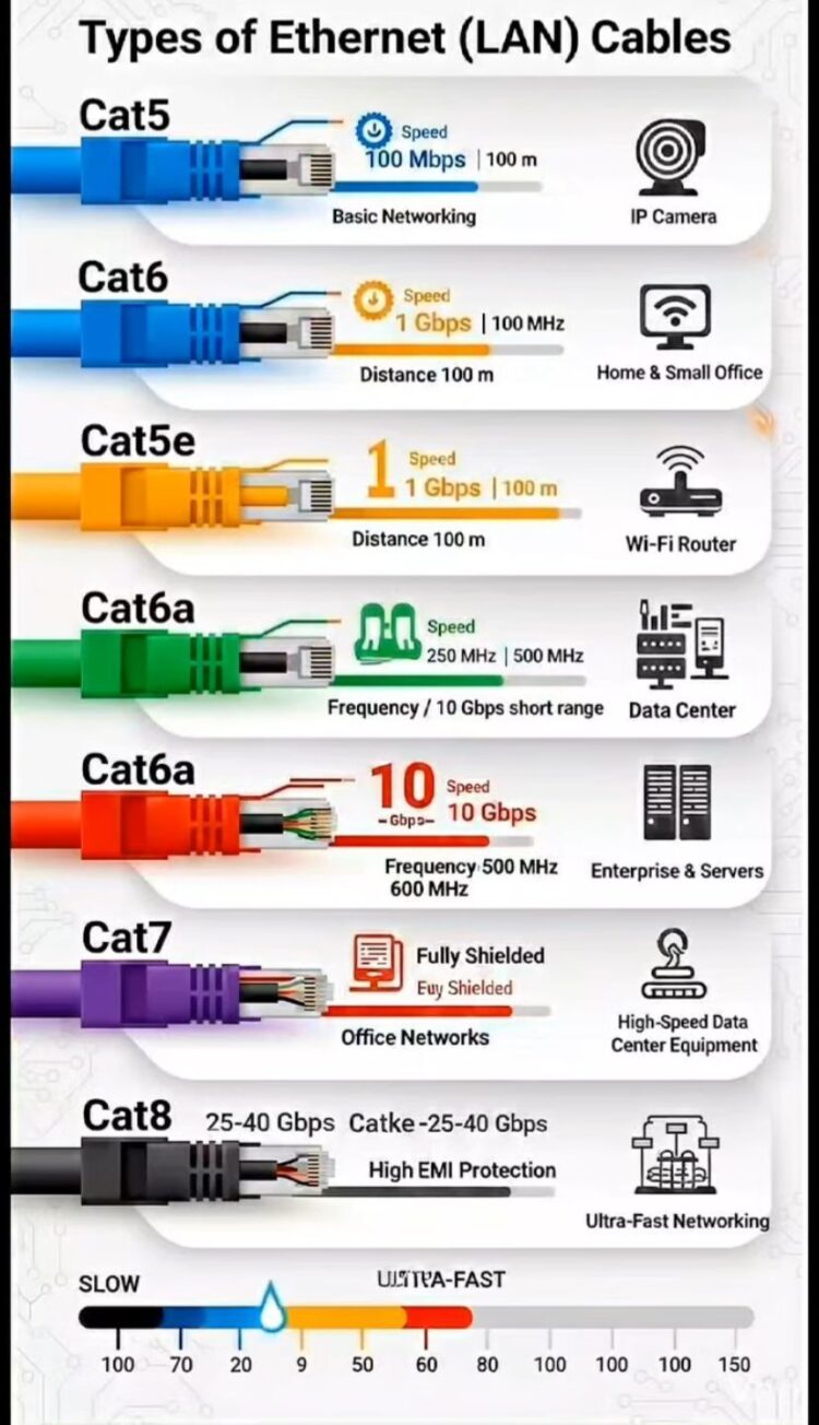 56832d2c1816be5e0b84369f29bfb762