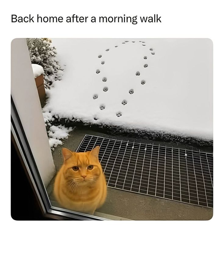 6abe216758d4b000a7c3b8a880305de6