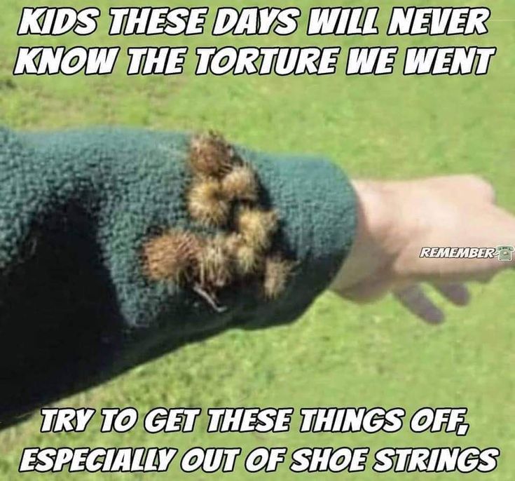 7152090cae9aa5a1b700f6cb24caf1af