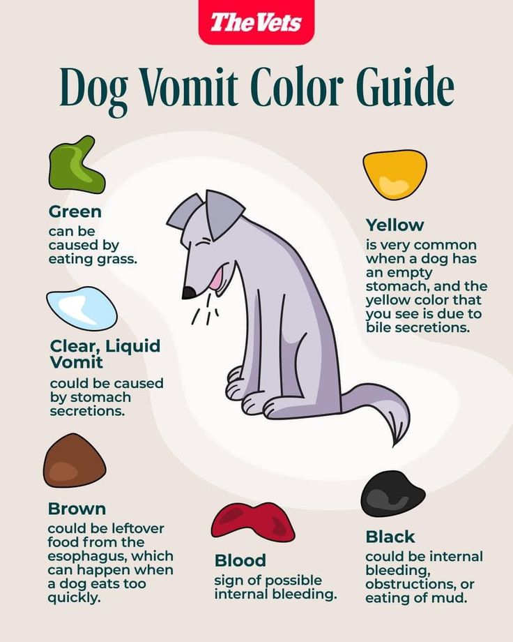 7197ff0ef32462ed81bae2e0ddd13d49