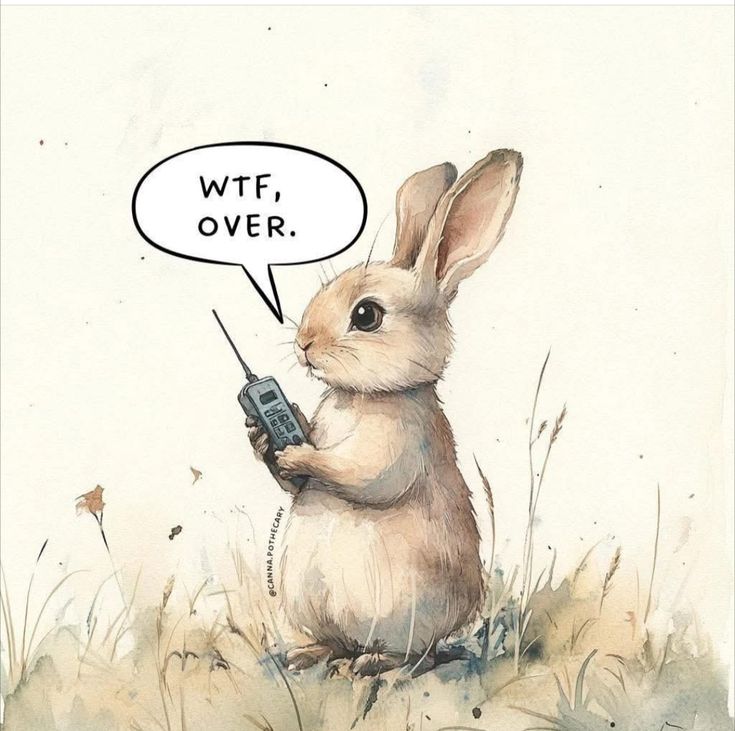 913011b498036522f47bc9b9532df236