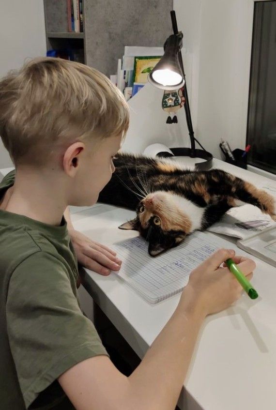 97ee0ebadcd6aa46c7eb558fb9b79c4c