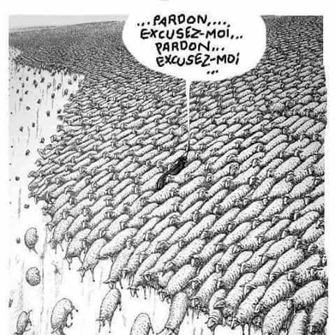 9a093b5381796f47dbed925ca2a3d68b