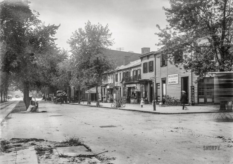 SHORPY 40237a.preview