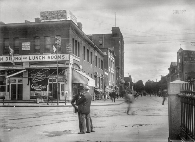 SHORPY 40294a.preview