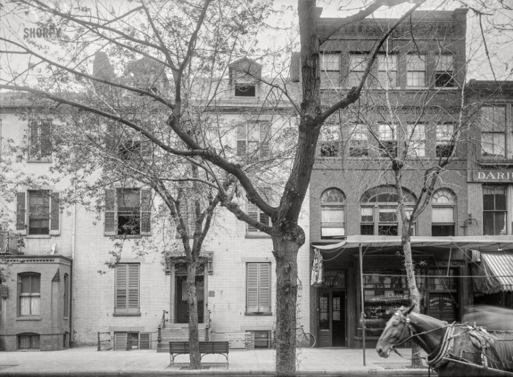 SHORPY 40381a.preview