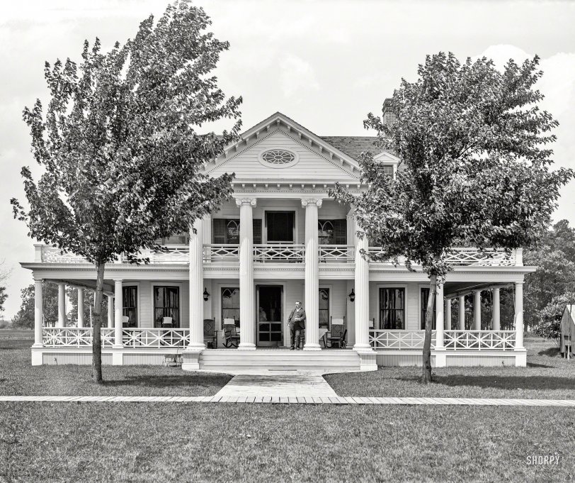 SHORPY 4a20179a.preview