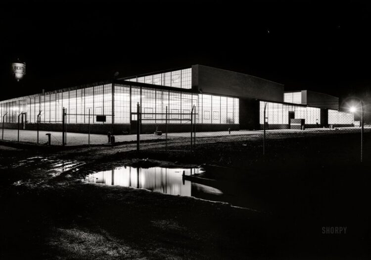 SHORPY 5a07352u.preview