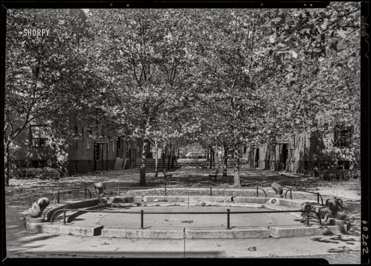 SHORPY 5a17215a.preview