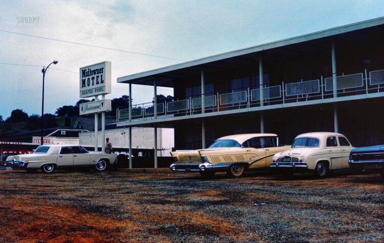 SHORPY P0150.preview