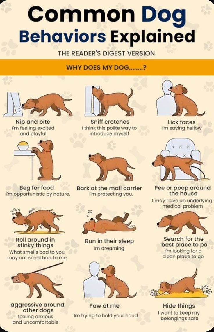 b271a6ec9b29a1894c904b002face46c