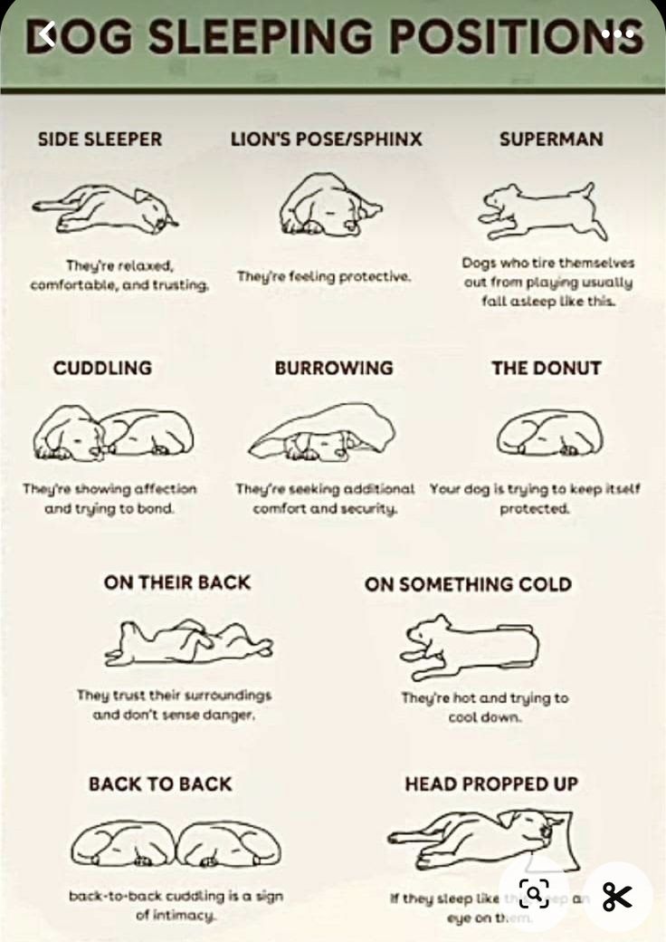 b737656c719524bb82740886af389e2f