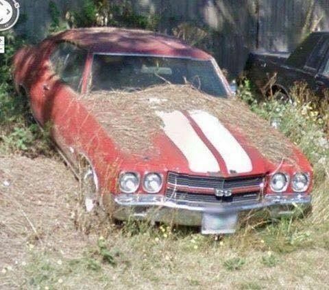 bb34f077af5832065fd8400bdd99f089