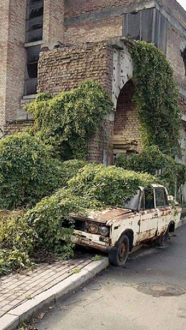 c0d3be51f64e10832c847c0ec52ab566