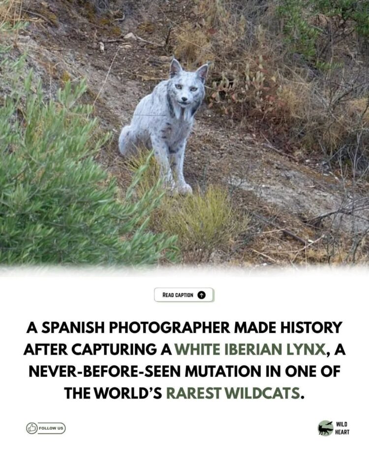 c3382cbf9cab7c9da47df5d0077bbd9e