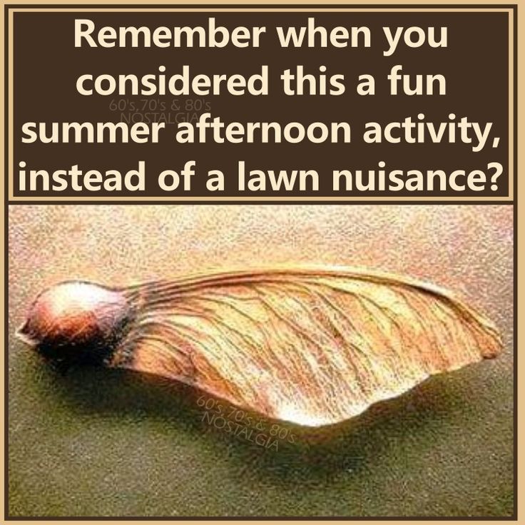 c3828fcb0f4d4ef8b6e07362b6977329