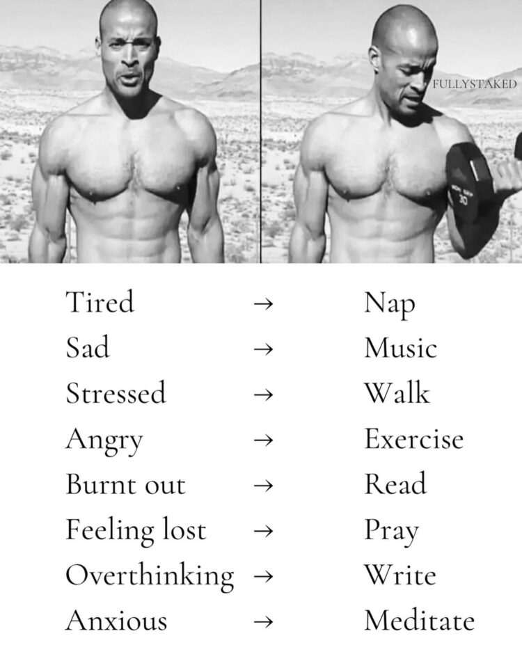 e0b6e9e8c088eecc3def7d6bde14f953