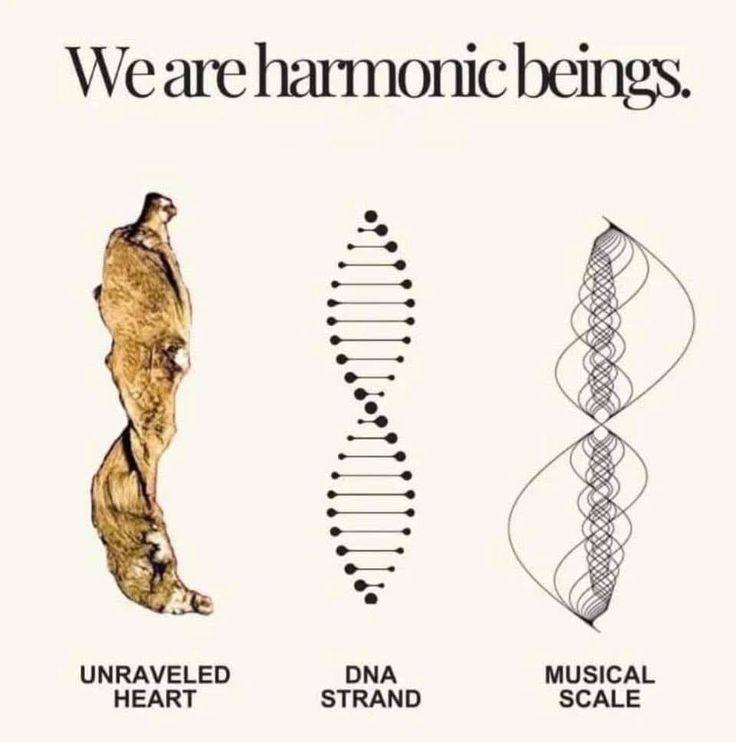 e21dc1ef497e197dc62a1dcfea6d510c