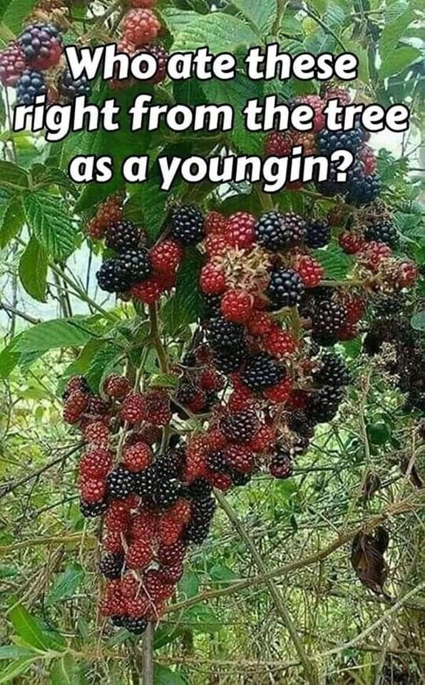 ec2da11810a9ec347d29dc251a2bfcd4