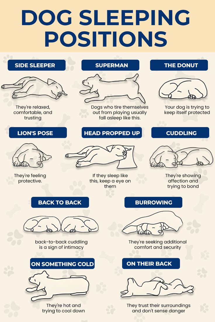 f9d405e459ba8ca73830a81cffa2c682