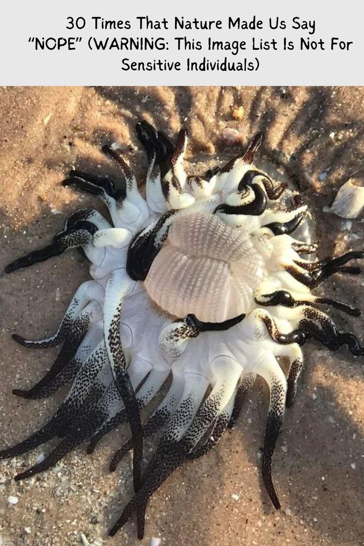 1323c6e10128b38be786d659a6d28c5a