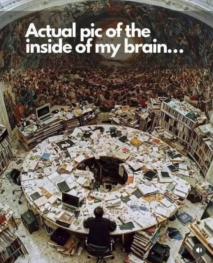 24faa2a5ce056b77154eb1418cbd7cb5