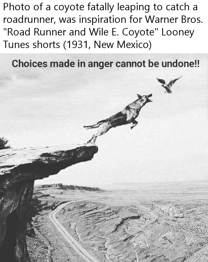 35a55fff4322df77bab5bd053c6223db