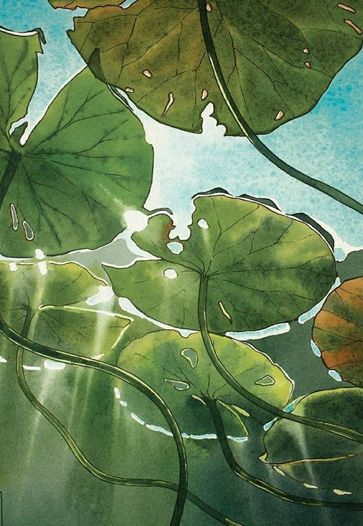 38a8c66883cc912d73b4b29050f76941