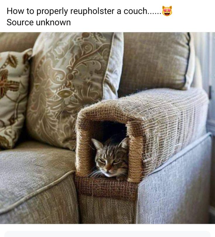 50bf26db12bb8011e0b252e99ec5fe11