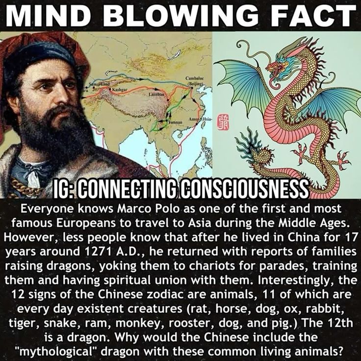 5130a356d724e94a60b19bd5406d0351