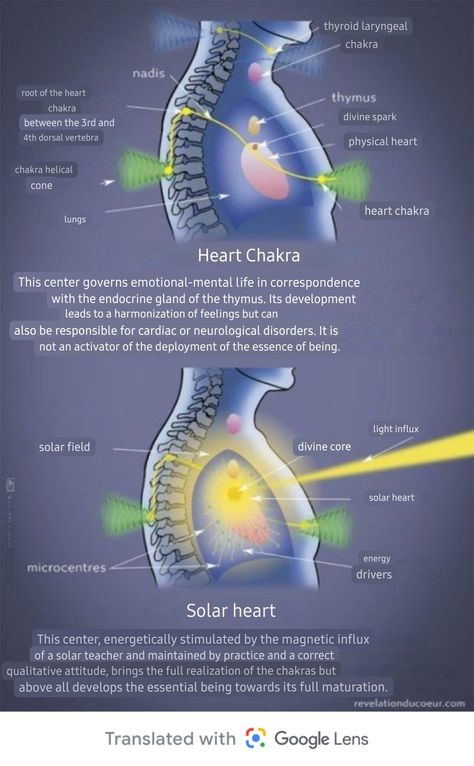 577477d462e196741f6b4eae7a1e4c68