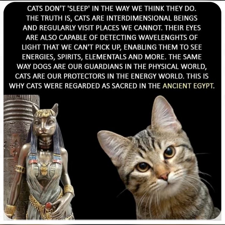 6511b0f920699f5961d975ba5695178d