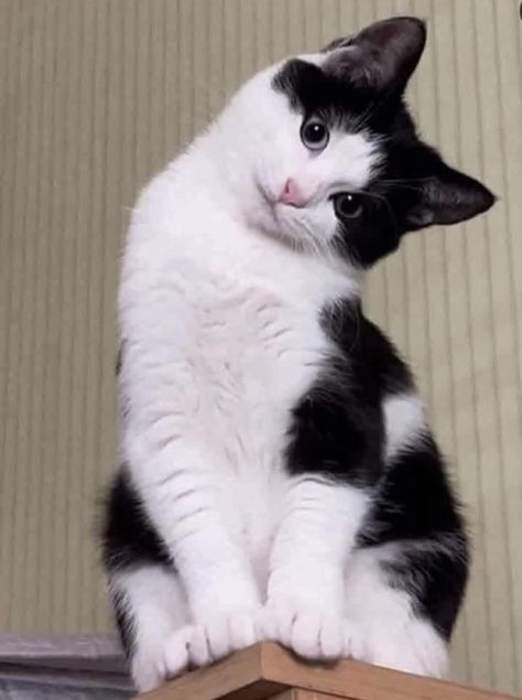 6aa9daf9e4f783614621d60c57a9bad5