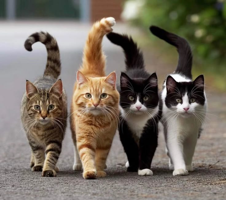 7d4a0be44779387e11608d6d0a3956b4