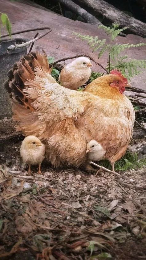 7d8b2c67a1cc3bab791cf61998824d35