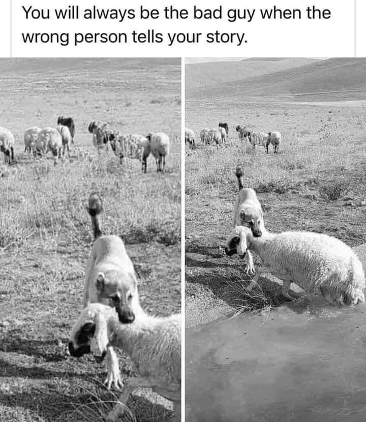 8a064d66994fac38741474e76fecae48