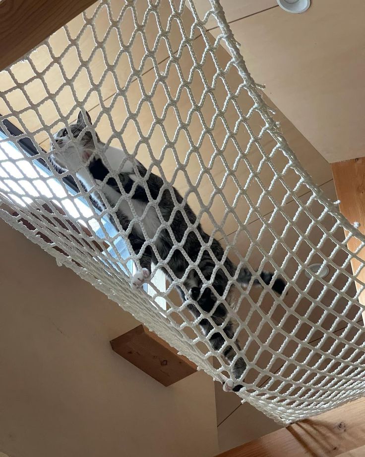 9198ffebe4502cc407a791a11a1ef924