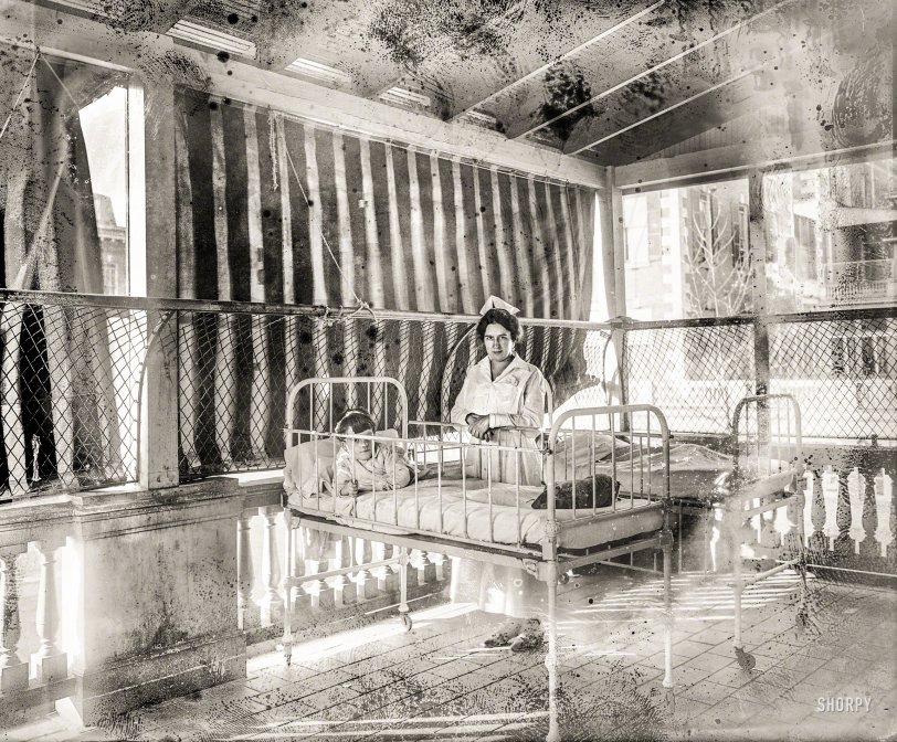 SHORPY 28391u1.preview