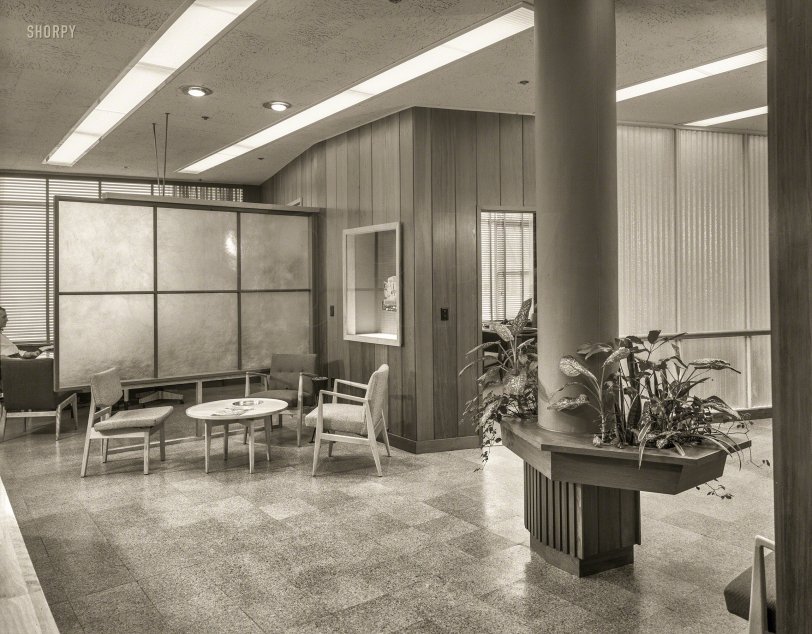 SHORPY 5a23361u.preview