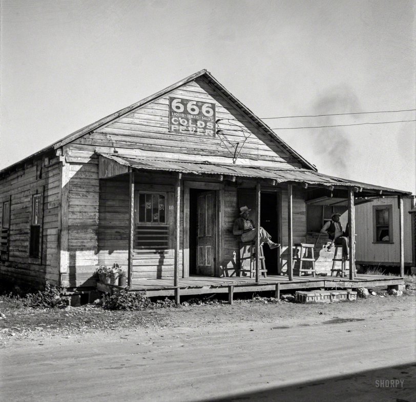 SHORPY 8c30171a1.preview