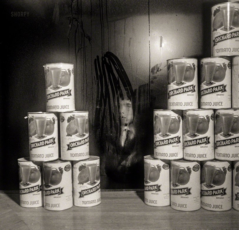 SHORPY 8d29087a.preview