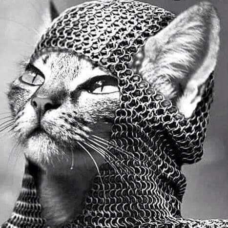 a62b3bd84c053957e22ac846db2a639e