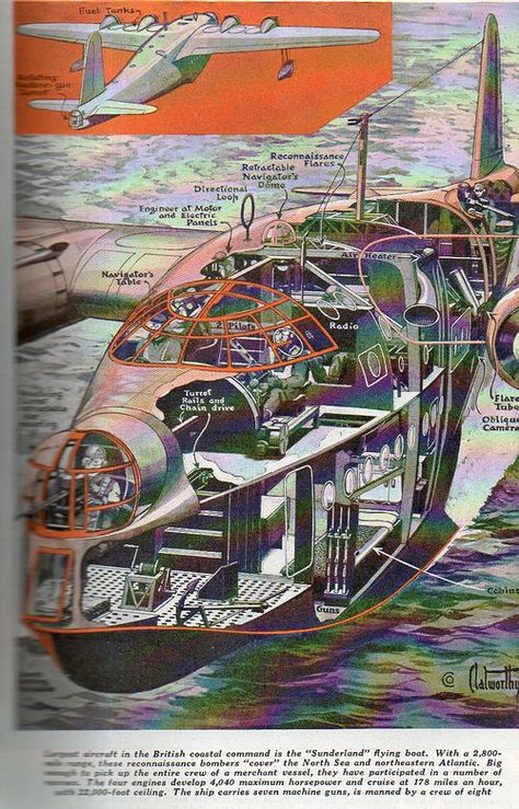 d0ab107a8c480cdf1c388bf4d0a1f2d0