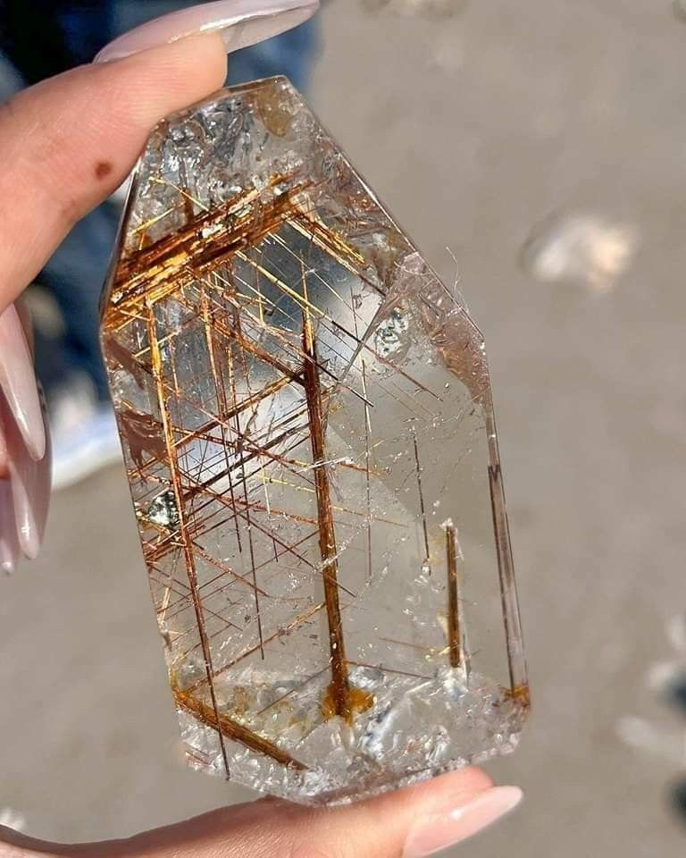 d1873cf94e89cdd9e98802dbc7f8e0a7