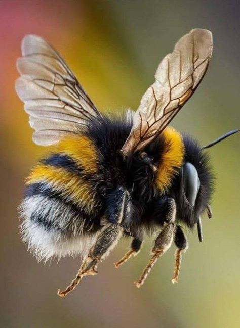 d51250ff69038978bad12cfb443e77a8