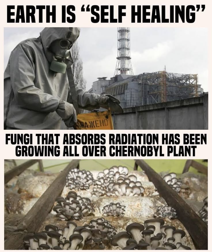 d754903e41a61d4eb21708d022f5d56c