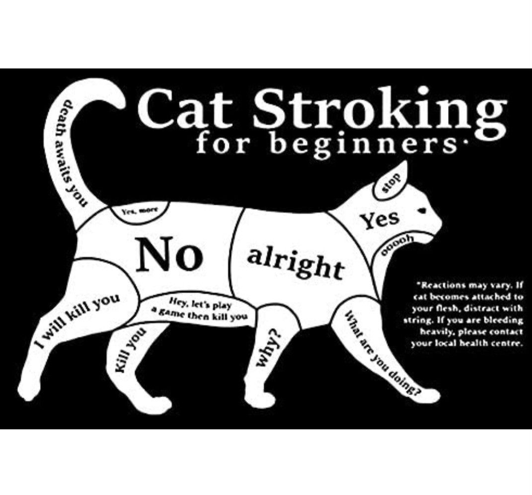 e83bb3c468e7e4d25de2036c6026501b