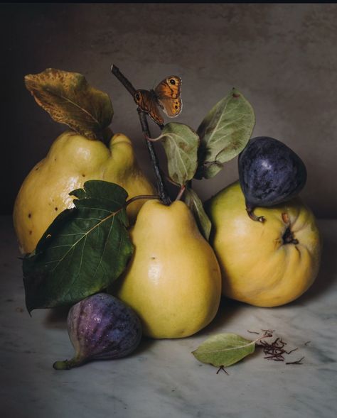 ea80da83c971ddd9aaf1bfcd1d6131e9